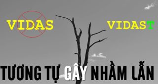 (Tiếng Việt) VIDAS và VIDAST: Nhãn hiệu bị từ chối vì tương tự gây nhầm lẫn và căn cứ để xem xét Thư Đồng Ý
