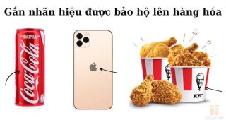 (Tiếng Việt) Khi nào được sử dụng nhãn hiệu: sau khi nộp đơn đăng ký hay sau khi được cấp văn bằng?
