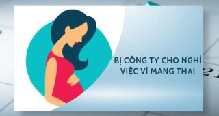 (Tiếng Việt) Bị công ty cho nghỉ việc vì mang thai