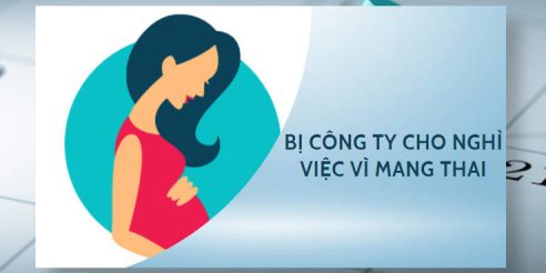 (Tiếng Việt) Bị công ty cho nghỉ việc vì mang thai