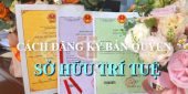 Cách đăng ký bản quyền Sở hữu trí tuệ