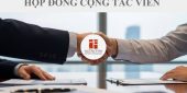 Hợp đồng cộng tác viên