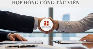 (Tiếng Việt) Hợp đồng cộng tác viên