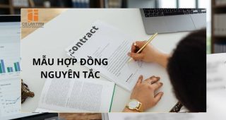 (Tiếng Việt) Mẫu hợp đồng nguyên tắc
