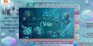 (Tiếng Việt) Thủ tục chia cổ tức của công ty cổ phần