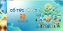 Các hình thức chi trả cổ tức