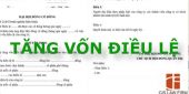 Mẫu quyết định tăng vốn điều lệ công ty cổ phần